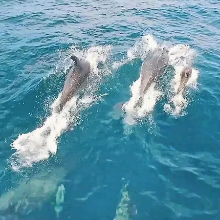Βίλα Springs By Algarve Vacation